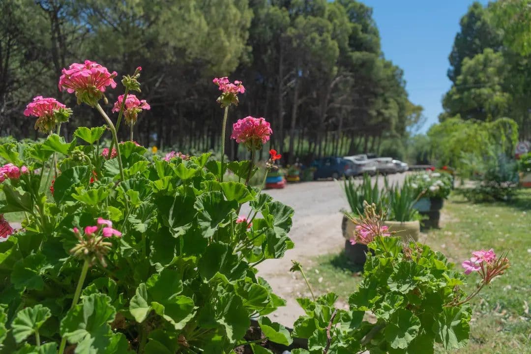 Ubicación panorámica del Parque Recreativo Rawson