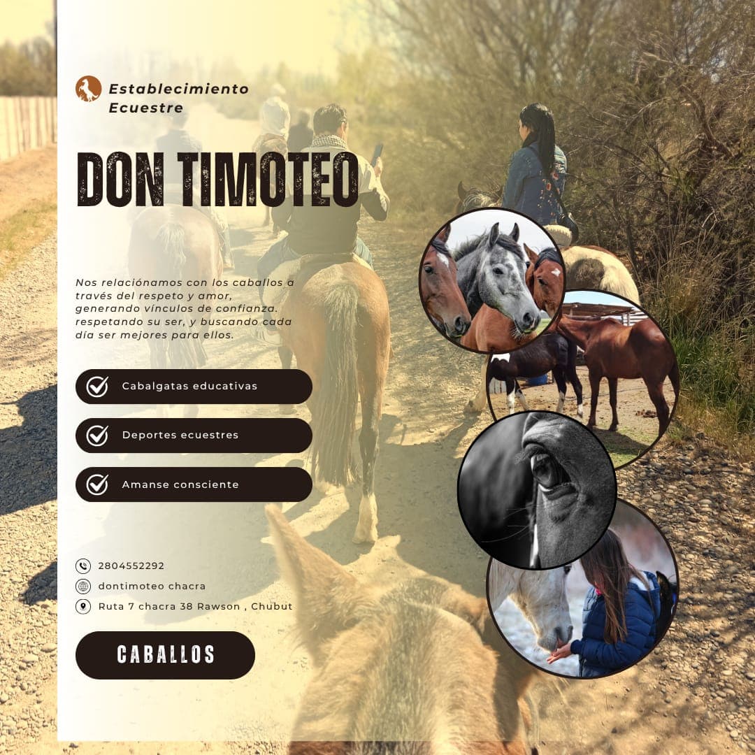 publicidad Don Timoteo