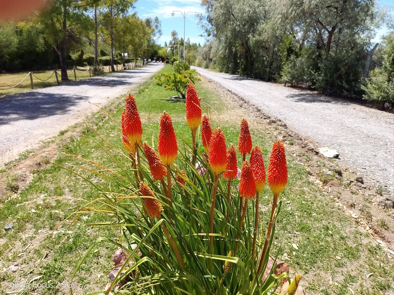 Senderos verdes y naturaleza en Rawson