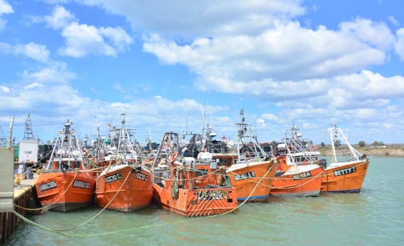 Foto de Puerto Rawson 12