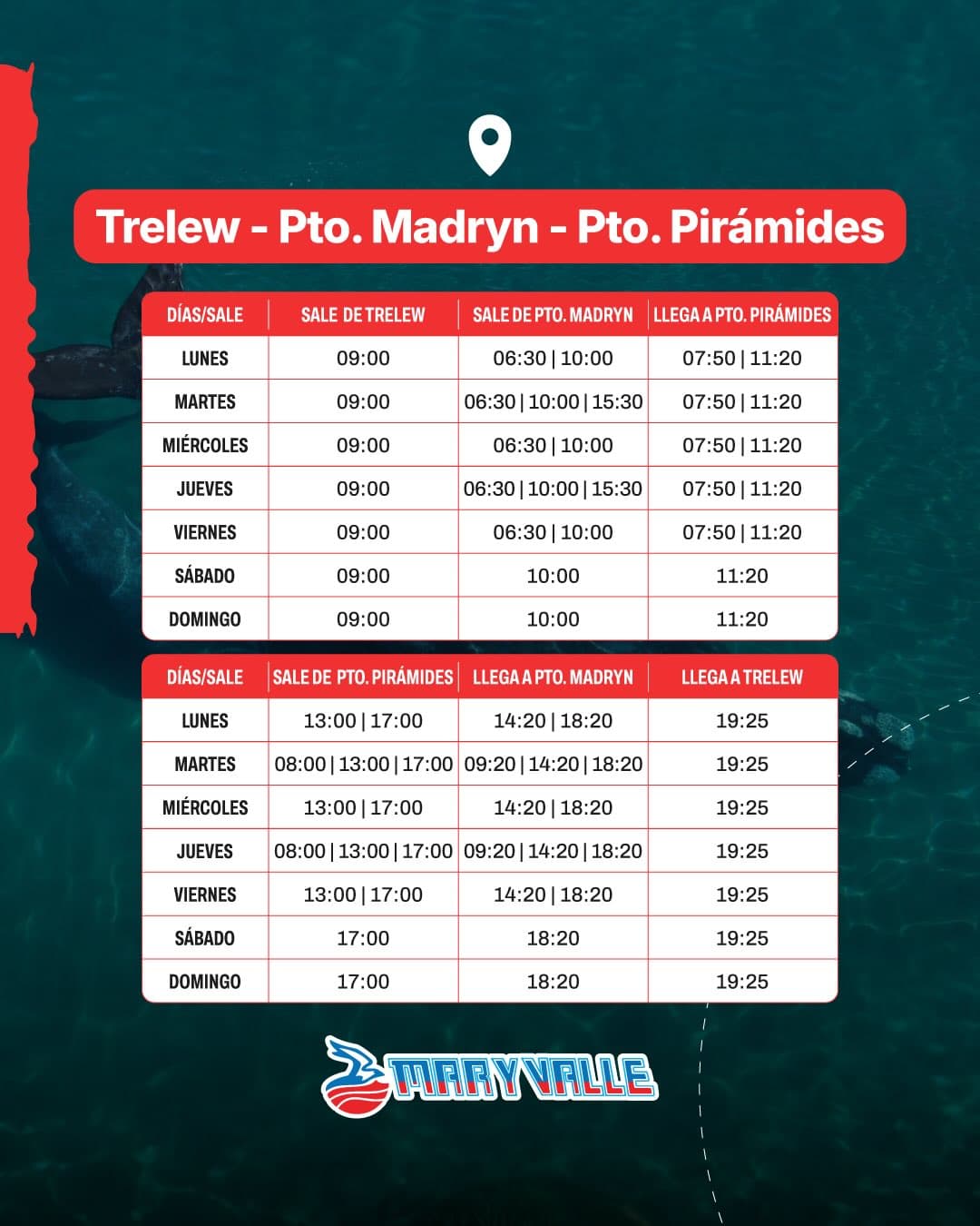 Horarios Lunes a Domingos y Feriados